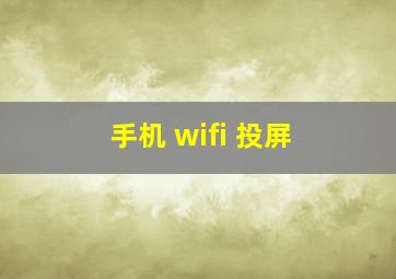 手机 wifi 投屏